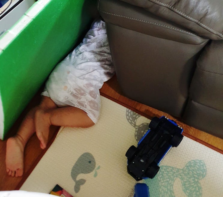  흥부자 사랑둥이 & 조카바보 코코냥 이모 일상