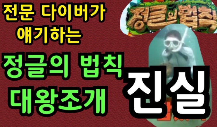  정글의법칙 대왕조개 사건,다이버가 얘기하는 진실-이열음 태국 천연기념물 조개채취논란