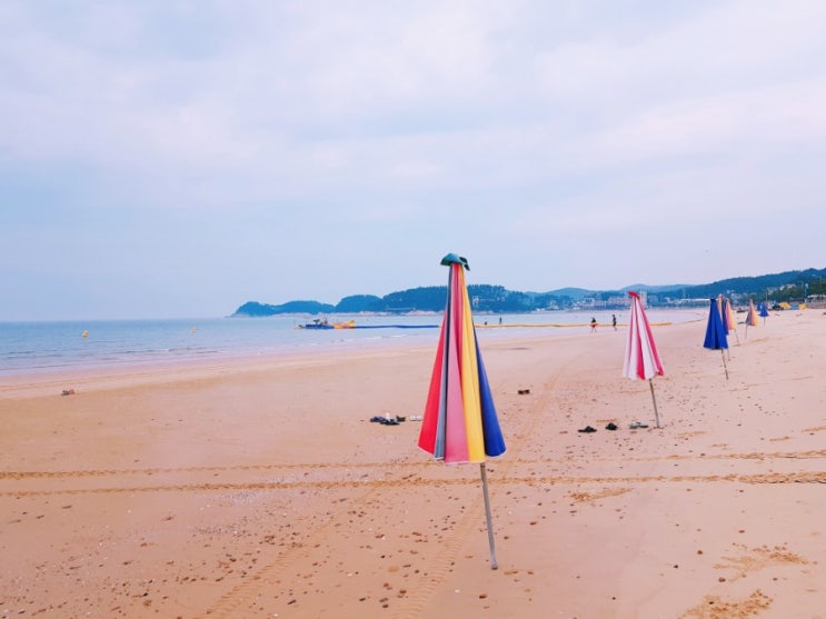  태안 만리포해수욕장,모항항