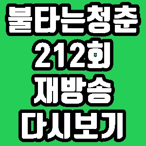 불타는 청춘 최민용 이의정 212회 재방송 다시보기 방송시간 편성표