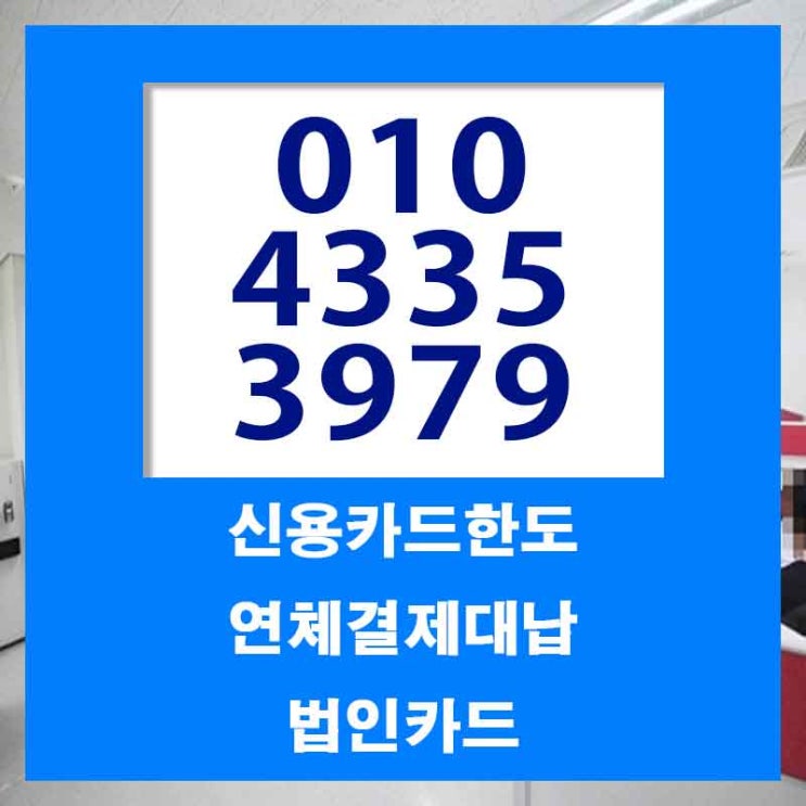 신용 카드 대납 대출 서울 대전 한도 업체 중점적으로 살펴보자
