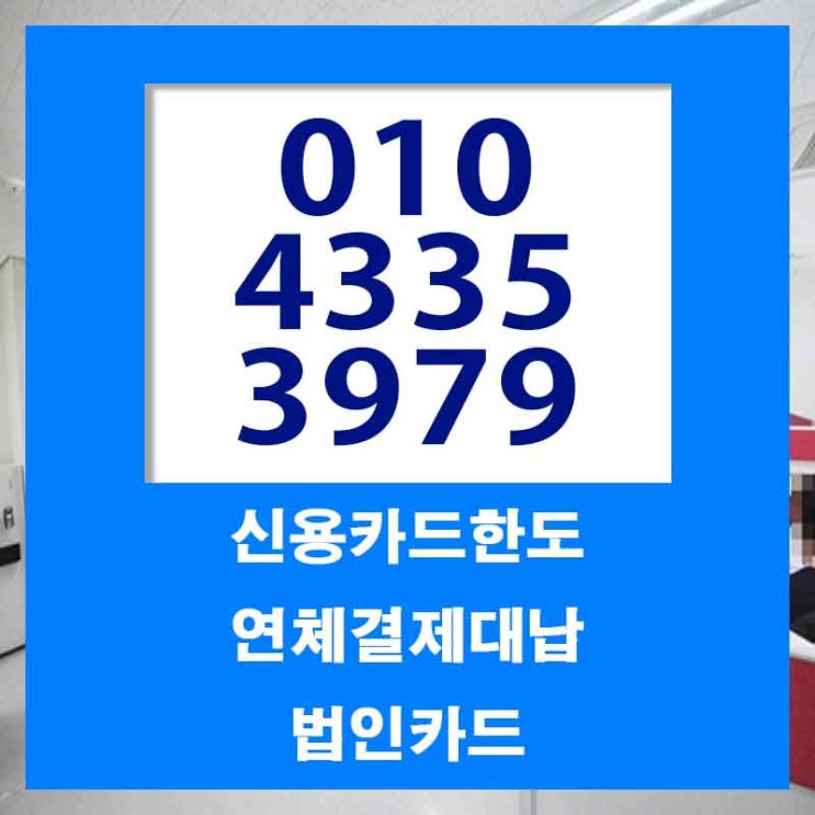  신용 카드 대납 대출 서울 대전 한도 업체 중점적으로 살펴보자