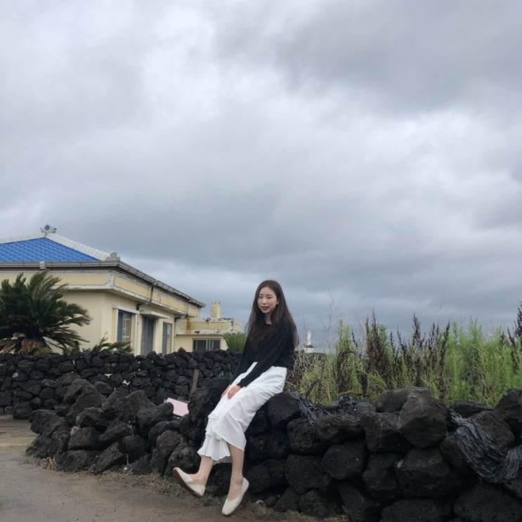  뜻밖의 제주,