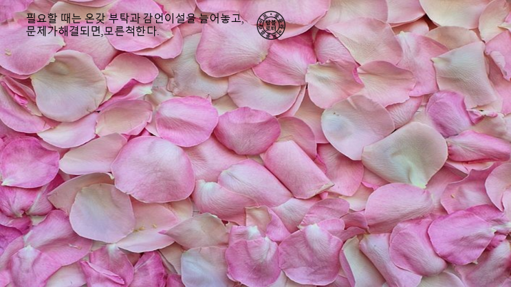  [한 줄 좋은 글] 감사