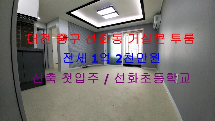  (대전 중구 선화동) 선화초등학교 가깝게 있는 신축 첫입주 ! 거실 완전 큰 전세 투룸입니다 ^^