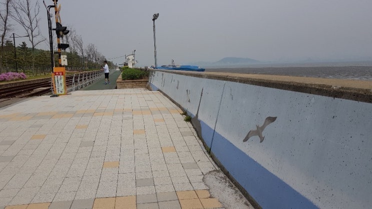 분당구 저희 어머니께서는 해마다 친구분들과 울릉도 여행을  떠나시는 데요