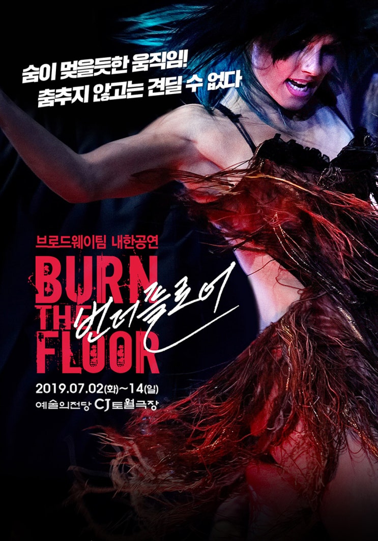 댄스 뮤지컬, 번 더 플로어(Burn the Floor) 'Joy of Dancing' - 서울