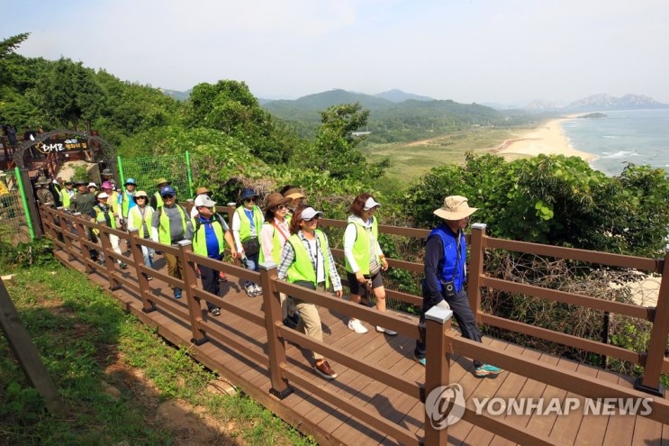 'DMZ 평화의길' 고성 구간 23일부터 단체관광객 운영