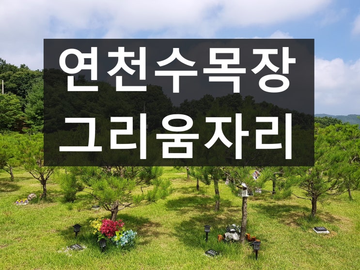  연천 수목장 추천 드리는 자연장 입니다.