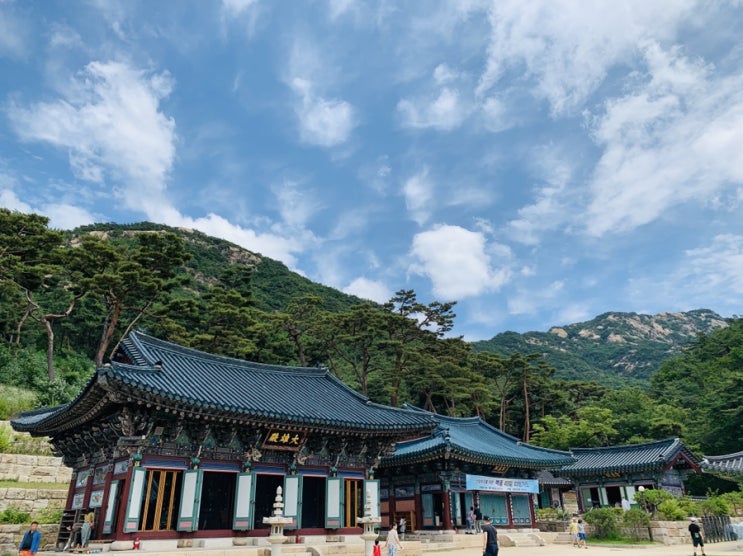  마음의 안식을 위해 자주 찾는 곳, 은평구에 위치한 진관사의 7월