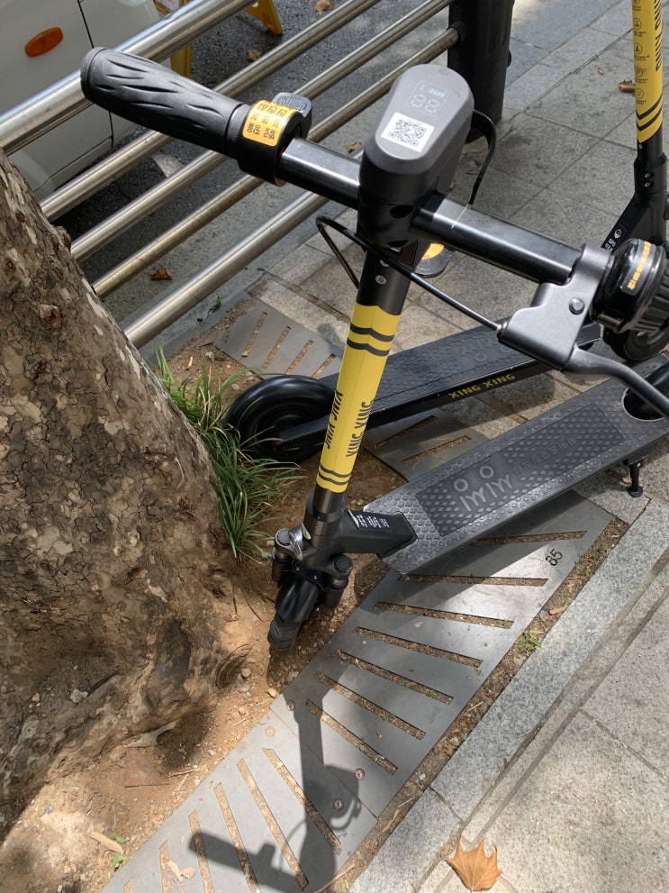  강남전동킥보드 씽씽 어플을 이용해서 대여하기 날따라해봐요!