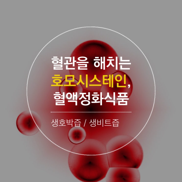  호모시스테인, 혈관질환요인중 하나