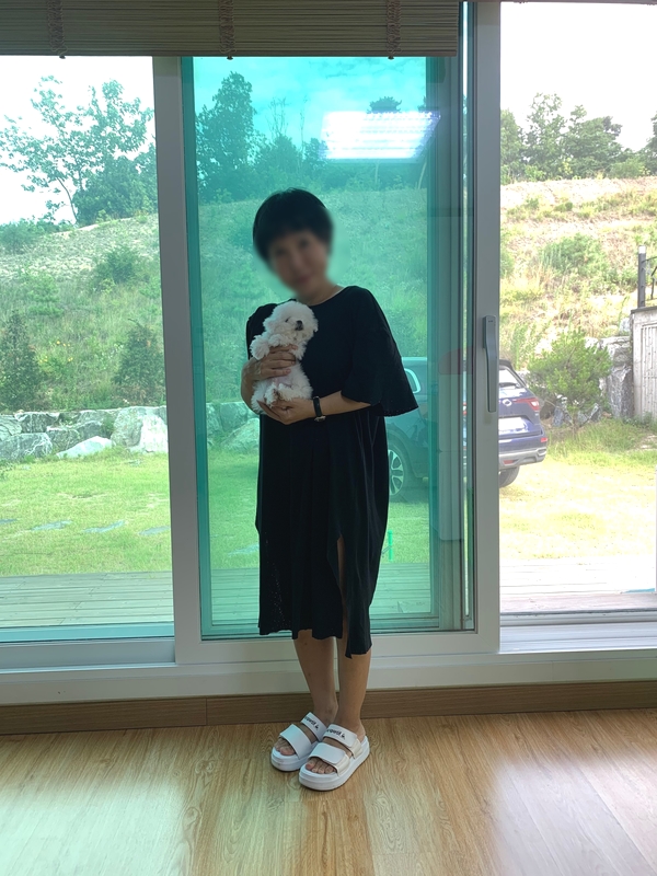  이천강아지분양 여주/용인비숑프리제분양후기정보!!:D