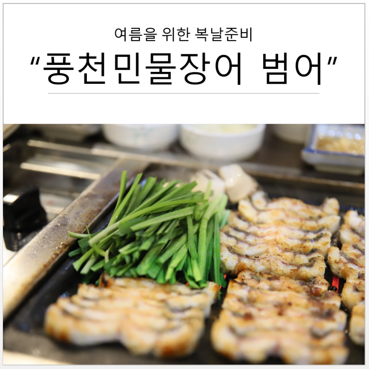  대구 민물장어 맛집, 풍천민물장어 복날에 먹는 음식으로 제격!