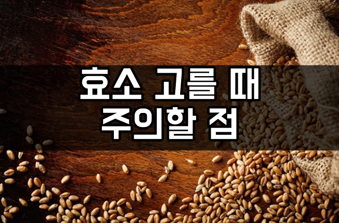  발효 소화 효소 고를 때 주의할 점