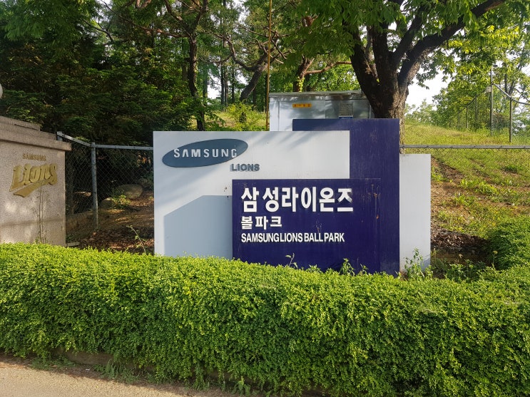  #kbo#프로야구#삼성라이온즈#삼성라이온즈볼파크#라이온즈파크#직관#김윤수선수#육성군#대구맛집#야구pt#야구트레이닝#선수트레이닝