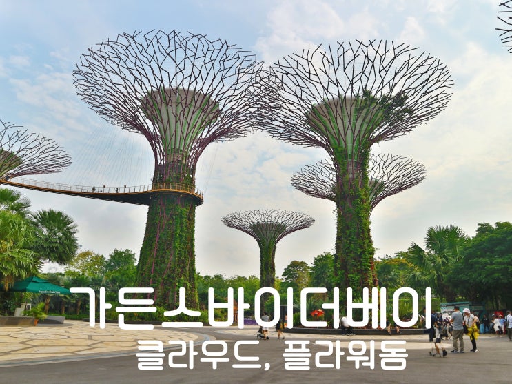  싱가포르 여행 가든스바이더베이, 클라우드 포레스트돔, 플라워돔