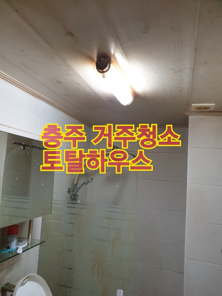  충주 거주청소..(토탈하우스 실리콘 코킹 곰팡이제거 곰팡이 방지 코팅 줄눈시공  페인트 화재청소 유품정리 고독사청소 폐기물처리 청소 부분철거 1668-2224)