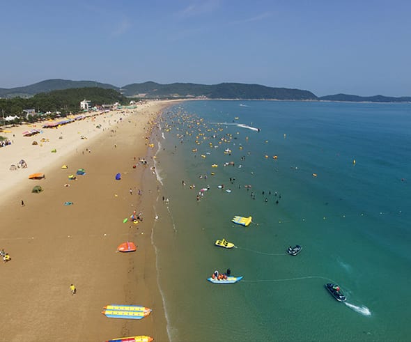  완도 명사십리, (완도 신지명사십리 개장 안내) 