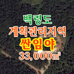  백령도 계획관리지역 싼임야 / 진촌리 (임) 33,000 / 도로접,완경사,연꽃마을 인근,싼땅