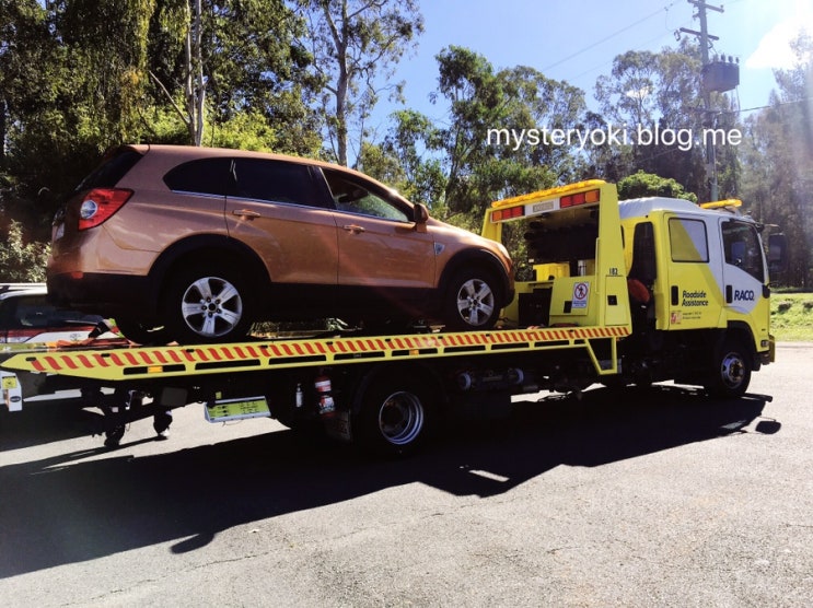  호주 자동차보험 RACQ roadside assistance 만족!