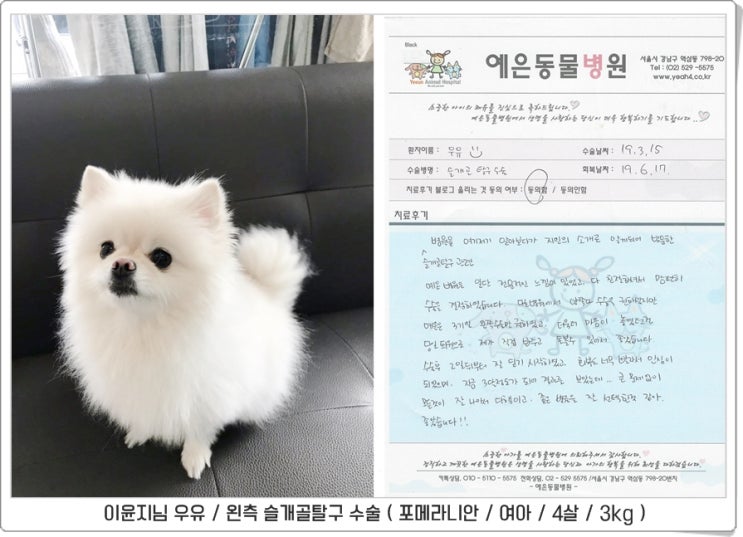  이윤지님 우유 <수술후기>