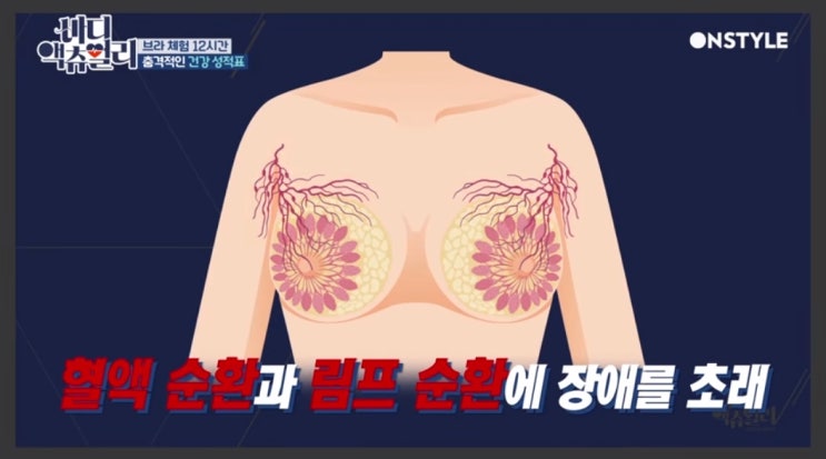  설리, 화사 노브라 최고최고다