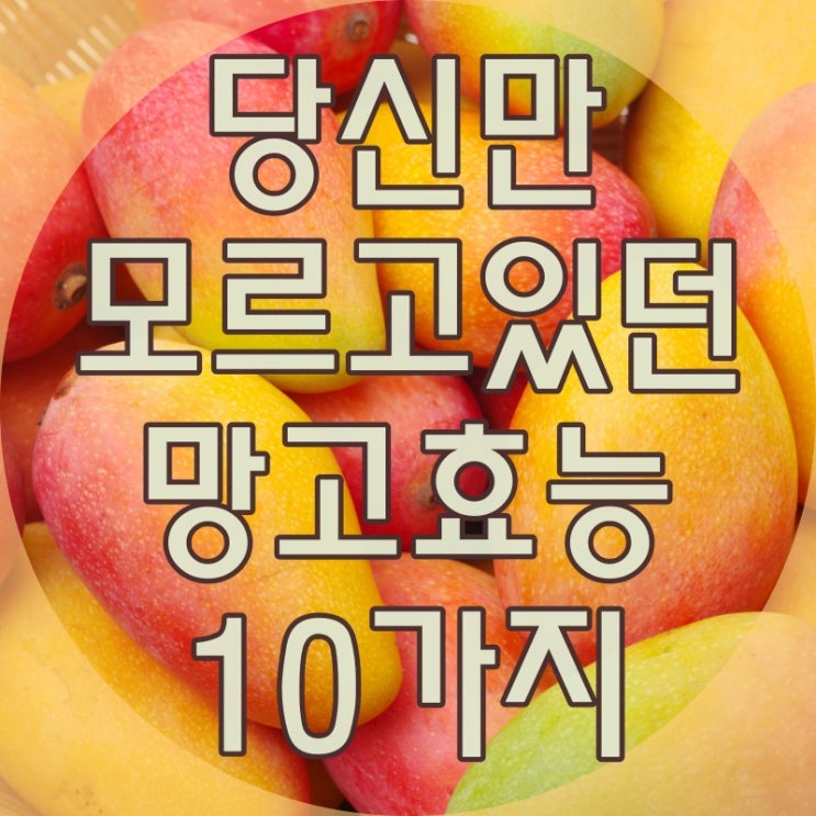  당신만 모르고 있던 망고효능 10가지