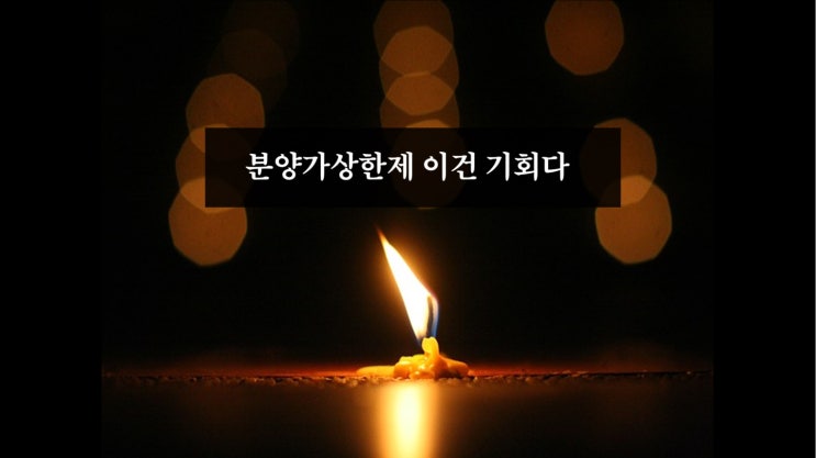  분양가 상한제 이건 부동산 투자의 완벽한 기회다(역사는 반복된다)