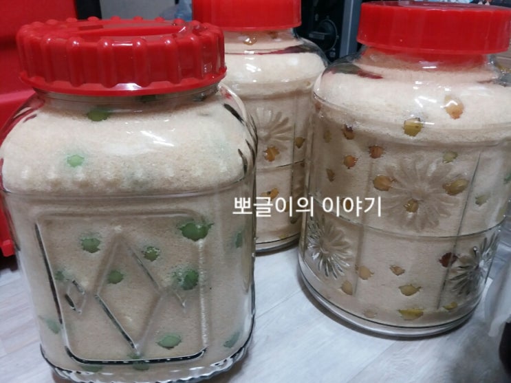  봄에 하는 행사 ~매실청과 개복숭아청 담갔어요.