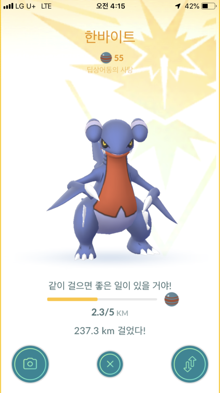  언제 진화시키지...