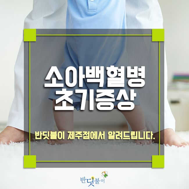  소아백혈병 초기증상, 반딧불이 제주점에서 알려드립니다.