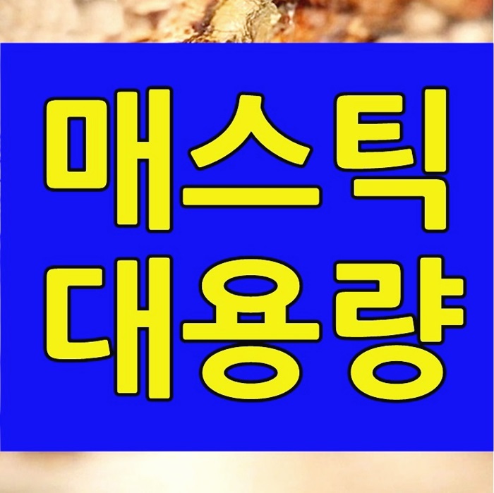 매스틱검 가루 효능과 메스틱 파는곳의 먹는법 공유!
