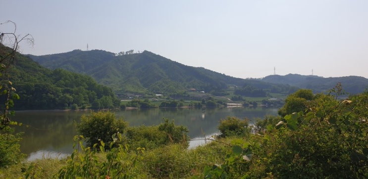  (707)저수지가 보이는전망좋은 괴산읍 신항리246평 전원주택부지[괴산부동산/괴산전원주택/괴산토지/괴산임야/괴산귀농/괴산농가주택]
