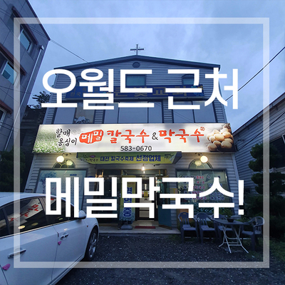  대전 오월드 맛집 막국수 맛있는집! 할매옹심이메밀칼국수&막국수