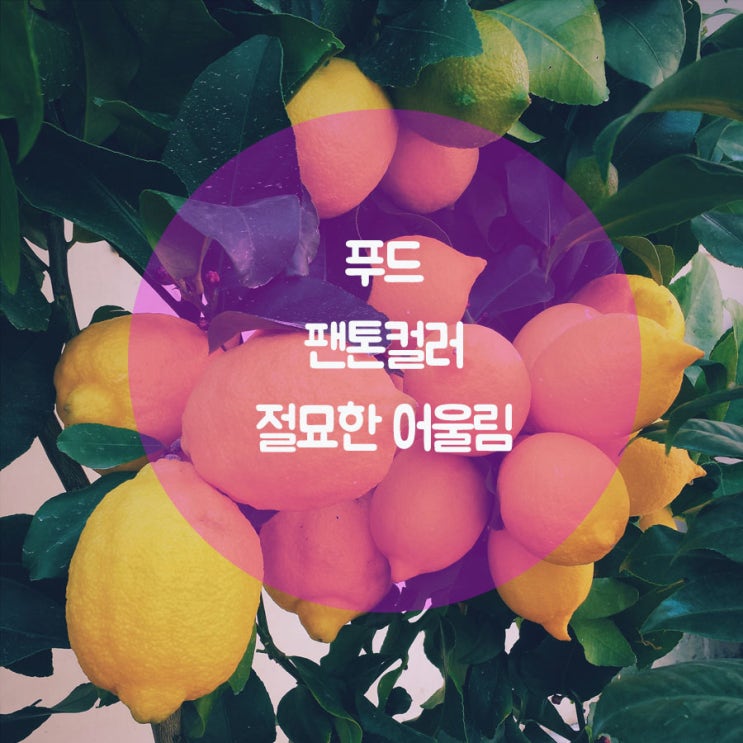  포토샵이용기 #2 #된다!포토샵&일러스트레이터