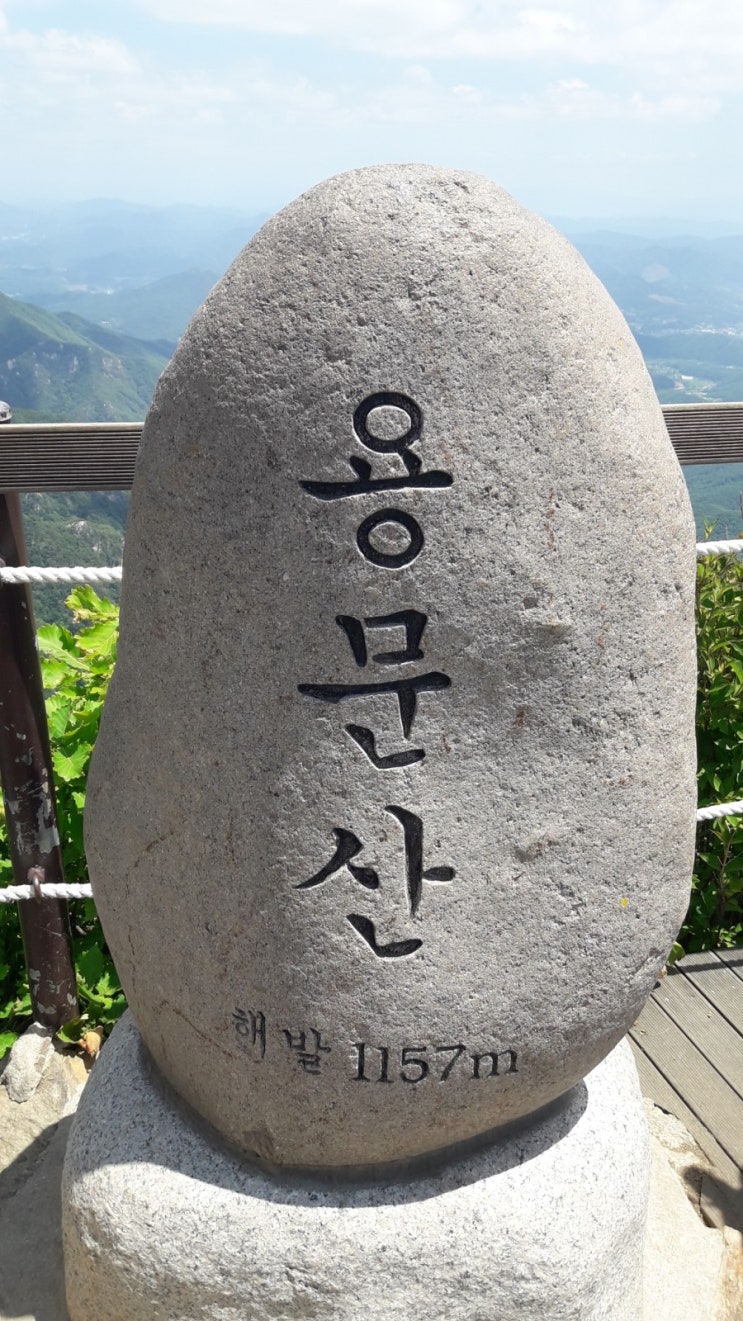  용문산,용문산등산로,용문사,은행나무