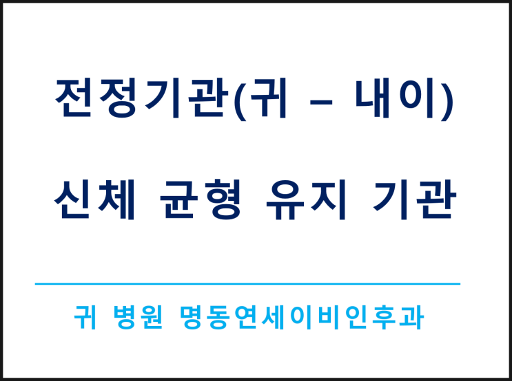 어지러움 원인 - 전정기능장애란??