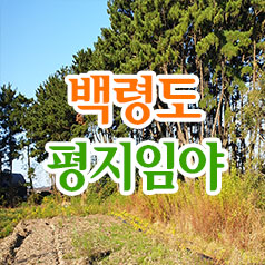  백령도 평지임야 / 진촌리 (임) 1,700 / 계획관리지역,도로접,농지 가운데 임야