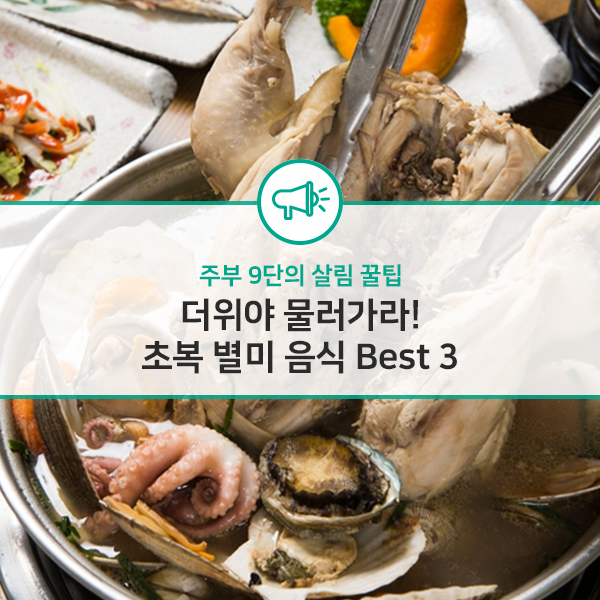  더위야 물러가라! 초복 별미 음식 Best 3