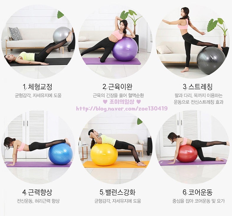 짐볼 멜킨 코어운동기구로 하는 짐볼운동법