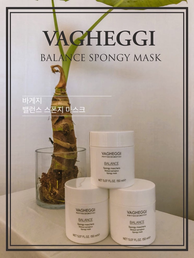  VAGHEGGI 바게지 밸런스 스폰지 마스크 리얼 후기