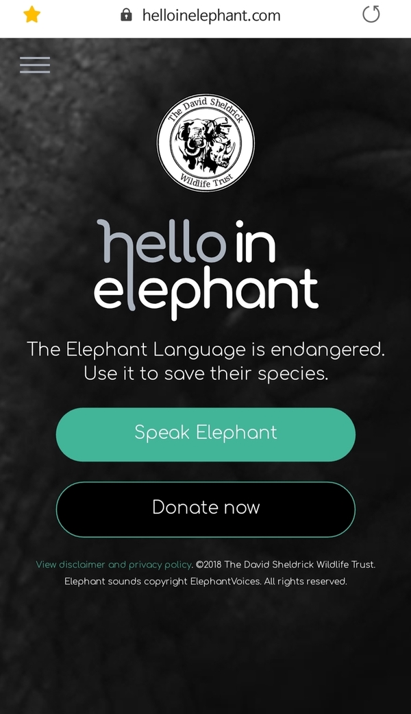 [코끼리 언어] 사람의 말을 코끼리 말로 번역해주는 사이트가 있었다!