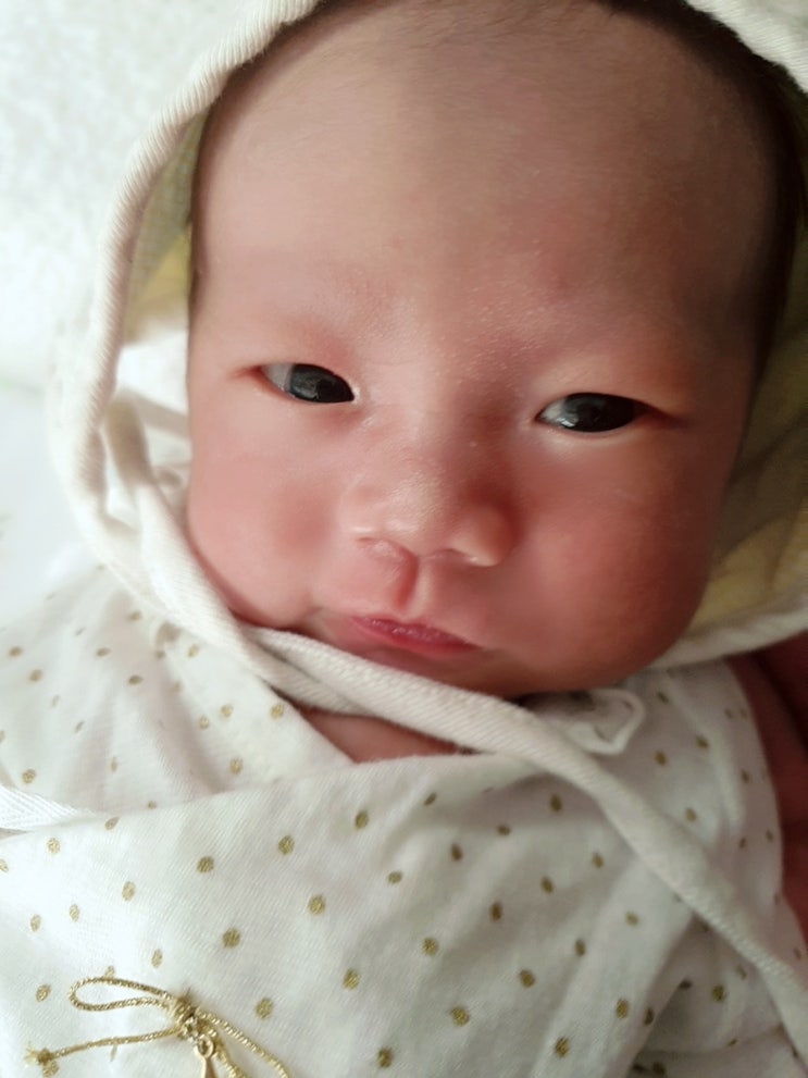 베리, 드디어 이름 생기다!!