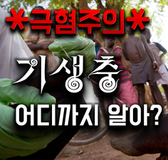  기생충 종류에 대해서#1연가시,메디나충 (유튜브 영상 제작 일기)