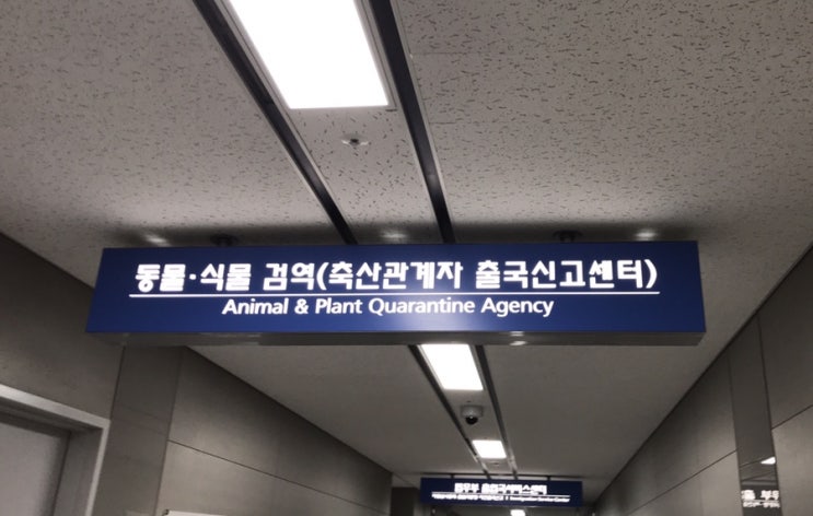  [인천공항 2터미널] 동물,식물 검역소/ 축산관계자 출국신고