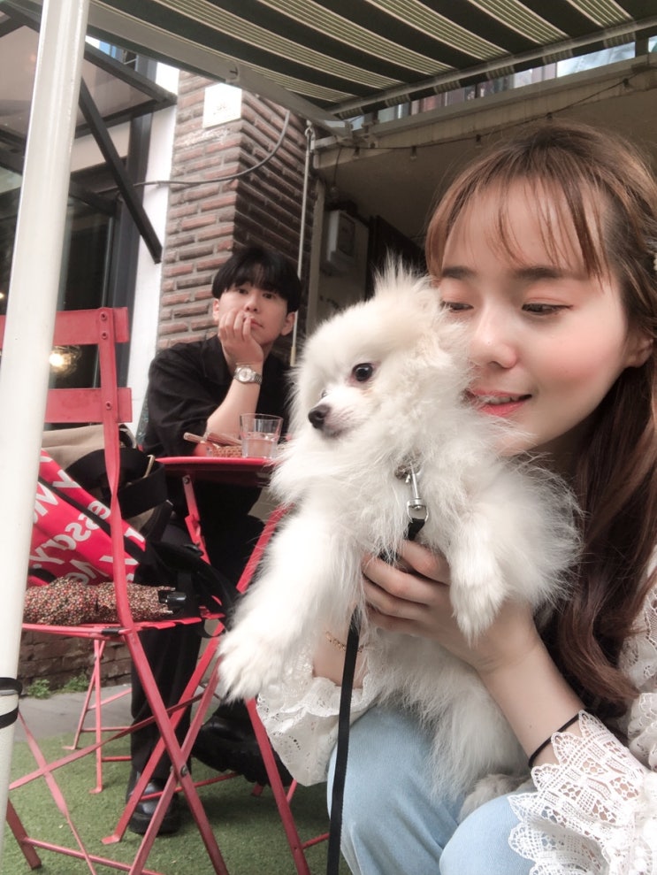  잠이 오지 않는 이유