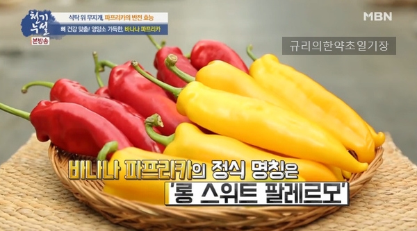  골다공증 예방 비타민C 풍부한 음식 바나나파프리카 효능? 바나나 파프리카 주스 레시피는..