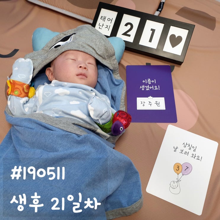  삼칠일 날 보러 와요~ 생후 21일차