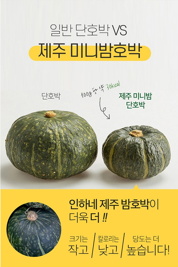 제주미니호박찜질법 미니밤호박칼로리
